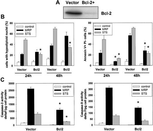 Figure 7. Effect of Bcl-2 on MRP8/MRP14-induced cell death. (A) Status of Bcl-2 expression. Cell lysates were prepared from Jurkat cells stably overexpressing either Bcl-2 or the empty vector control and subjected to immunoblotting with anti–Bcl-2 antibodies. (B) Effect of Bcl-2 on MRP8/MRP14-induced DNA fragmentation and phosphatidylserine exposure. Jurkat cells overexpressing Bcl-2 or the empty vector control were treated for 24 or 48 hours with MRP8/MRP14 (▪) or STS (⊡), or left untreated (□). Subsequently, DNA fragmentation was determined by flow cytometric measurement of hypodiploid DNA (left panel). Exposure of phosphatidylserine exposure was measured by flow cytometric detection of annexin-V–positive/PI-negative cells (right panel). (C) Effect of Bcl-2 on caspase activation. Jurkat cells overexpressing Bcl-2 or the empty vector control were treated for 24 hours with MRP8/MRP14 (▪) or STS (⊡), or left untreated (□). Caspase-3–like (left panel) and caspase-9–like (right panel) activities were measured using the fluorimetric substrates Ac-DEVD-AMC and Ac-LEHD-AMC, respectively. Caspase activity is indicated as delta F per microgram of protein. The data represent the means ± SEM from 4 independent experiments. Note that the relatively weak caspase activation in the STS-treated samples is due to the fact that caspase activation is maximal within 12 hours after STS treatment and declines thereafter. *Significant decreases of the apoptotic and caspase-activating effects of MRP8/MRP14 and STS by Bcl-2 overexpression compared with empty vector control cells (P < .05).
