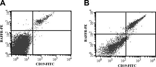 Figure 1. Expression of CD19 and BAFF-R on normal and CLL lymphocytes. PBMNCs from either healthy donors (A) or individuals with CLL (pt no. 2, B) were isolated and stained with CD19-FITC and BAFF-R-PE (A-B) followed by flow cytometry analysis. The CLL patient has low circulating WBC counts (< 20 × 109/L) and B-cell percent (23%) with normal cytogenetics and ZAP70 negative.