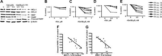 Figure 3. Effect of rGel or rGel/BLyS on CLL survival proteins. CLL lymphocytes from 7 patient samples were treated with either 2 and 5 mM rGel or 2 and 5 nM rGel/BLyS for 72 hours, and cell lysates were collected and immunoblot analysis was done for MCL1, BCL2, XIAP, PARP, and actin proteins (A). MCL-1 levels of proteins were quantitated and expressed as percent control from either rGel-treated (B) or rGel/BLyS-treated (C) cells. XIAP levels of proteins were quantitated and expressed as percent control from either rGel-treated (D) or rGel/BLyS-treated (E) cells. Relationship between apoptosis induction measured as PARP cleavage and decrease in MCL-1 (F) or XIAP (G) protein levels after treatment with rGel/BLyS construct.
