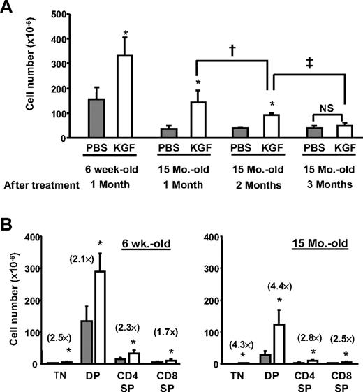 Figure 1. KGF treatment restores thymopoiesis in aged mice. The thymic cellularity of young (6 weeks old, n = 5) and aged mice (15 months old, n = 5-11) was analyzed 1 to 3 months after a single 3-day course of PBS or KGF treatment. (A) Mean absolute thymocyte numbers ± SD from either PBS- or KGF-treated young and aged mice. *P < .05, PBS versus KGF; †P < .05, 1 month versus 2 months; ‡P < .05, 2 months versus 3 months; NS indicates not significant. ⊡ indicates PBS-treated mice; □, KGF-treated mice. (B) Increases in the number of TN, DP, SP CD4, and SP CD8 thymic subsets 1 month after KGF treatment. The fold increase of the number of thymocyte subsets is shown in parenthesis. *P < .05, PBS versus KGF.