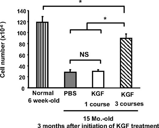 Figure 3. Repeated KGF treatment (3 monthly courses of 3 days each) maintained enhanced thymopoiesis in aged mice. The thymic cellularity was analyzed after a single course or multiple courses of KGF treatment to aged mice. Mean absolute thymocyte numbers ± SD from PBS-treated young mice (▥); aged mice evaluated 3 months after PBS treatment (⊡); aged mice 3 months after a single course of KGF treatment (□); or aged mice 3 months after initiation of monthly courses (3) of KGF treatment (▧) (n = 5 in each group). *P < .05; NS indicates not significant.