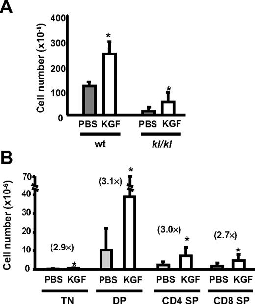 Figure 5. KGF treatment increases thymic cellularity and intrathymic IL-7 expression in kl/kl mice. wt littermates (2 weeks old, n = 5) or kl/kl mice (2 weeks old, n = 12) were treated with PBS or KGF for 3 days, and the thymic cellularity was analyzed on day 31. (A) The total thymic cellularity and (B) the absolute numbers of TN, DP, CD4 SP, and CD8 SP thymic subpopulations are shown; results are ± SD. The fold increase of the number of thymocyte subsets is shown in parenthesis. *P < .05, PBS versus KGF.