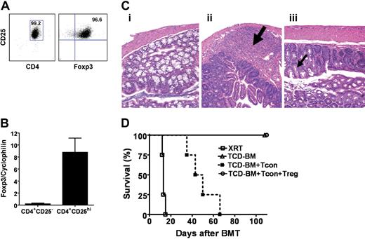 Figure 1. Characterization of the phenotype and function of Tregs. (A) CD4+CD25hi cells from either wild-type FVB or luciferase-transgenic FVB mice were sorted to purities of more than 99%, with more than 96% expressing Foxp3 on FACS analysis. (B) By quantitative RT-PCR, sorted CD4+CD25hi cells had significantly greater Foxp3 expression compared with CD4+CD25− cells (P = .03). Error bars represent standard error. (C) Histopathologic findings in the colon of lethally-irradiated recipients 8 days after transplantation of T-cell–depleted bone marrow alone (i), with Tcons (physiologic ratio of CD4+ and CD8+ T cells) (ii), or with Tcons and CD4+CD25hi (iii). Goblet-cell (thin black arrow) depletion, lymphocytic infiltration (thick black arrow), and mucosal disruption in colon of animals with Tcons but without CD4+CD25hi. (D) Lethal GvHD induced by FVB Tcons (▪) in Balb/c recipients was inhibited with the cotransfer of FVB Tregs (○) at 1:1 dose ratio (n = 4; P = .007). Recipients receiving only TCD-BMs (▵; n = 4) survived without evidence of GvHD. Data are representative of 3 or more experiments.