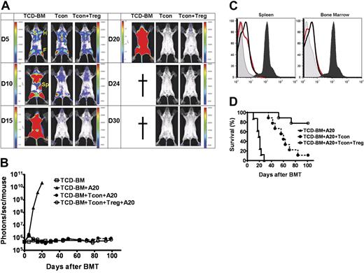 Figure 7. Earlier infusion of Tregs does not abrogate Tcon-mediated GvT effect. Lethally-irradiated Balb/c hosts received TCD-BMs and luc/yfp A20 leukemia cells, with or without, 1 × 105 Tregs from wt FVB, on day 0 followed by infusion of 1 × 106 Tcons 2 days later. Animals that received TCD-BMs and A20 cells alone served as controls. (A) Tumor engraftment is noted in bone marrow compartments (F indicates femur; H, humerus; S, sternum) and spleen (Sp) in all groups. Tumor progression is observed in animals that received TCD-BMs alone, while animals that received Tcons with or without Tregs cleared tumor by day 15. (B) Tumor clearance was stable, with no evidence of relapse with prolonged follow up by BLI at day 100 (□ versus • or □ versus ○, NS). Color bars in panel A represent signal intensity scale over whole body: (B) 3000 to 30 000 for all images of Tcons + A20 and Tcons + Tregs + A20, and day-5 image of TCD-BMs + A20; and 3 × 104 to 3 × 105, 3 × 105 to 3 × 106, and 3 × 106 to 3 × 107 for days 10, 15, and 20 images of TCD-BMs + A20 and (C) FACS analysis for yfp-expressing A20 cells in the bone marrow and splenic compartment 120 days following transplantation (dark gray fill is A20 cell positive control; light gray fill is BM negative control; black line is Tregs + Tcons + A20; red line is Tcons + A20). (D) Survival corresponded with BLI findings. Animals that received only TCD-BMs died from progressive tumor growth (n = 8); animals that also received Tcons (n = 9) cleared the tumor but died from progressive GvHD (▴ versus •, P < .001). Transplant recipients that received earlier infusion of low-dose Tregs (n = 9) were protected from leukemia (▴ versus ○, P < .001) and had significantly improved survival from GvHD (○ versus •, P = .004). Data were combined from 3 independent experiments.
