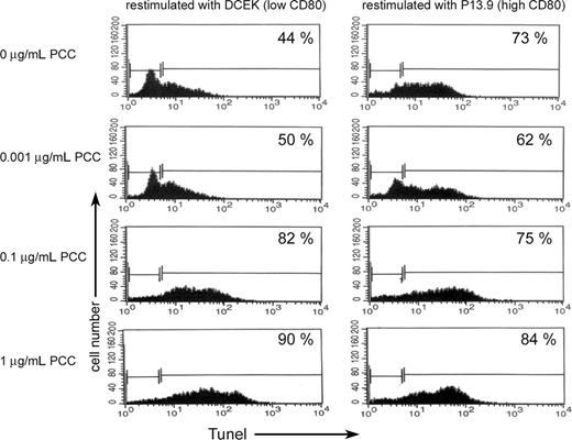 Figure 4. Apoptosis of memory CD4 cells with and without acquisition of CD80. Memory CD4/CD80acq T cells were restimulated overnight either with APCs expressing low levels of CD80 (DCEK) or APCs expressing high levels of CD80 (P13.9) in the presence of various concentrations of PCC (0, 0.001, 0.1, and 1 μg/mL). Each panel depicts the percentage of apoptotic cells by TUNEL assay.