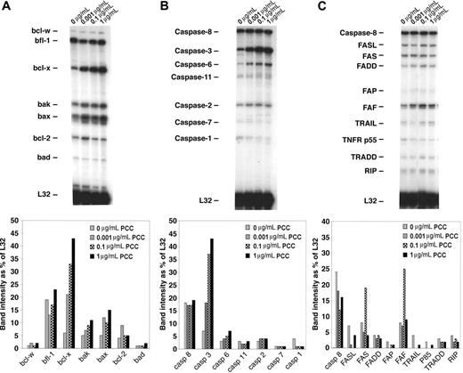 Figure 5. Analysis of apoptotic pathways in memory CD4/CD80acq T cells. Memory CD4/CD80acq T cells were cultured in the presence of APCs and indicated concentrations of PCC and separated from APCs, and their RNA was analyzed by RPA. All samples were analyzed with RPA probe set (mApo1, 2, 3), and band intensity was calculated based on the housekeeping gene L32.