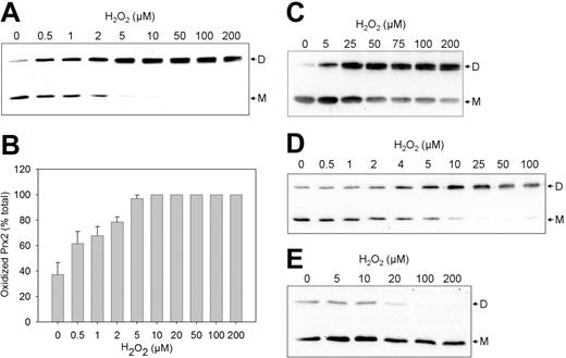 Figure 2. The effect of H2O2 on the redox state of Prx2 in cells. (A) Erythrocytes were treated at the indicated concentrations for 10 minutes and immunoblotted. Dimeric Prx2 ran as a doublet. (B) Quantification of band intensities as measured by chemiluminescent densitometry. Data are means ± SD of 3 experiments. (C) Erythrocyte suspensions of 5 × 107 cells/mL were treated with the indicated concentrations of H2O2 for 10 minutes and immunoblotted. (D) Erythrocytes (5 × 107 cells/mL) were pretreated with 10 mM azide for 5 minutes, then with the indicated concentrations of H2O2 for 10 minutes and immunoblotted. (E) Jurkat cells were treated at the indicated concentrations of H2O2 for 10 minutes and immunoblotted. Protein (15 μg) was loaded per lane. D indicates dimeric Prx2; M, monomeric Prx2.