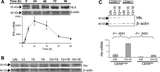 Figure 1. Monokine-dependent Hlx expression by human CD56bright NK cells is delayed with respect to IFN-γ transcription. (A) Delayed induction of Hlx protein with respect to IFN-γ production in primary NK cells. (upper) Total NK cells were stimulated with IL-12/IL-18 for indicated time points, and Hlx protein levels were analyzed by immunoblotting. β-Actin levels were analyzed to ensure equal loading (n = 4 experiments). (lower) In parallel, IFN-γ mRNA levels were analyzed by QRT-PCR. Mean ± SEM from 4 separate experiments is shown. (B) Maximal Hlx protein induction requires monokine costimulation. Total NK cells were stimulated for 72 hours, as indicated, and Hlx and β-actin protein levels were analyzed by immunoblotting (n = 3 experiments). (C) Preferential induction of Hlx protein in the CD56bright NK subset. (upper) FACS-purified unstimulated NK subsets were lysed directly (UN) or after stimulation with the indicated monokine combinations (72 hours). Lysates were analyzed for Hlx and β-actin protein by immunoblotting (n = 3 experiments). (lower) FACS-purified NK subsets were lysed immediately for RNA (UN) or stimulated with IL-12/IL-15 for 12 hours before lysis. Hlx mRNA levels were analyzed by QRT-PCR. Mean ± SEM from 5 separate donors is shown.