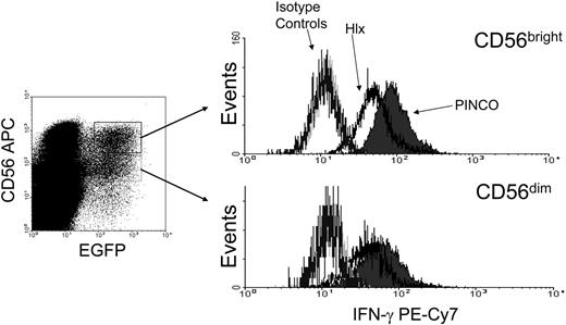 Figure 2. Hlx inhibits IFN-γ production by primary CD56bright NK. PINCO- or PINCO-Hlx–infected primary human NK cells were stimulated for 24 hours with IL-12/IL-18 and were subjected to staining for CD56 and IFN-γ. (left) Infected cells were gated on CD56brightEGFP+ or CD56dimEGFP+. (right) IFN-γ staining in each population compared with isotype controls. Results shown are representative of 3 experiments (CD56bright PINCO-Hlx compared with CD56bright PINCO; P < .02).