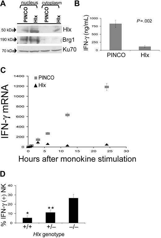 Figure 3. Hlx inhibits IFN-γ mRNA and protein expression in NK-92 cells. (A) Overexpression of Hlx protein in NK-92 cells. FACS-purified NK-92 cells transduced with PINCO or PINCO-Hlx were subjected to nucleocytoplasmic fractionation and immunoblotting for Hlx. Enrichment of nuclear protein was confirmed by Brg1 staining. Equal loading was confirmed by Ku70 staining. (B) Inhibition of IFN-γ production by Hlx. PINCO- or PINCO-Hlx–infected NK-92 cells were stimulated with IL-12/IL-18, and supernatants were harvested after 24 hours for IFN-γ ELISA. Shown are the mean ± SEM from 5 separate experiments. (C) Time course of IFN-γ mRNA in PINCO-compared with PINCO-Hlx–transduced NK-92 in response to IL-12/IL-18. Shown are results of 1 of 4 representative experiments; error bars represent SD of triplicate PCR reactions. (D) Increased IFN-γ production by Hlx−/− NK in response to monokine costimulation. Fetal liver–derived NK of indicated genotypes were subjected to 24-hour stimulation with IL-12 and IL-15, followed by intracellular staining for IFN-γ. Mean ± SEM percentages of IFN-γ+ NK1.1+ cells from 9 experiments with NK cells derived from 9 or more livers of each genotype are shown. *P < .001 Hlx+/+ compared with Hlx−/−. **P < .005 Hlx+/− compared with Hlx−/−).