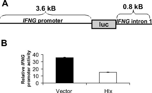 Figure 4. Hlx inhibits IFNG promoter activity in DERL-7 cells. (A) The human IFNG luciferase construct used in this study consisted of 3.6 kB of a 5′ flanking sequence upstream of the transcriptional start site, the firefly luciferase open-reading frame, and 0.8 kB of the intron 1 enhancer element. (B) DERL-7 cells with Hlx or empty vector were transfected with the IFNG luciferase construct, and luciferase activity was measured after 6-hour stimulation with IL-12/IL-18. Mean ±SD of 1 of 3 representative experiments is shown.