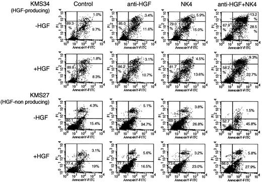 Figure 3. Flow cytometric analysis for quantification of apoptotic cells. MM cells (2 × 105/mL were cultured in RPMI containing 10% FCS (Hyclone Laboratories) and collected after 4 days of exposure to NK4 (100 nM) or anti–HGF-neutralizing monoclonal antibody (19 μg/mL) in the presence or absence of 100 ng/mL HGF; this concentration of HGF was an excess amount sufficient to counteract NK4 or the neutralizing antibody. Cells were stained with FITC-coupled annexin V and propidium iodide. Induction of apoptosis by NK4 was evaluated by flow cytometry. The percentages of early apoptotic cells (annexin V+/PI−) and late apoptotic cells (annexin V+/PI+) are indicated in the corresponding quadrants.