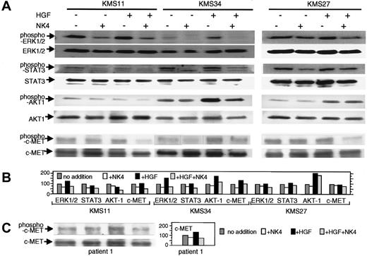 Figure 4. Western blot analysis of activated ERK1/2, STAT3, and AKT-1, and immunoprecipitation and Western blot analysis of activated c-MET in NK4-treated MM cells. (A) HGF-producing KMS11 and KMS34 cells as well as non–HGF-producing KMS27 cells were treated with 200 nM NK4 protein in RPMI containing 4% dialyzed FCS overnight; the cells were then incubated with or without 50 ng/mL HGF at room temperature for 20 minutes. The cell lysates were subjected to sodium dodecyl sulfate-polyacrylamide gel electrophoresis (SDS-PAGE), followed by immunoblotting with anti–phospho-ERK1/2, anti–phospho-STAT3, and anti–phospho-Ser473 AKT-1 antibodies. Blots were stripped and reprobed with anti-ERK1/2, anti-STAT3, and anti–AKT-1 antibodies. For evaluation of c-MET activation, MM cell lines were also treated with 200 nM NK4 in RPMI containing 4% dialyzed FCS overnight, and then incubated with or without 50 ng/mL HGF at room temperature for 5 minutes. After immunoprecipitation with anti–c-MET antibody, the immunocomplexes were subjected to SDS-PAGE. Immunoblotting was conducted with anti–phospho–c-MET antibody, and then the same filters were stripped and reprobed with anti–c-MET. (B) Densitometric analysis of the activation of c-MET and signal transducers. (C) Evaluation of c-MET activation in primary MM cells obtained from patient 1. Treatment of the MM cells and immunoprecipitation followed by Western blot analysis were performed as described.