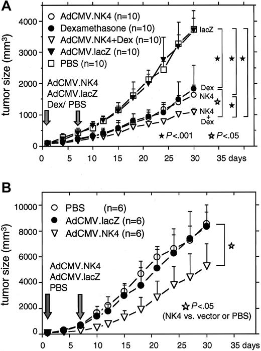 Figure 6. In vivo growth inhibition of plasmacytoma by intramuscular injection of AdCMV.NK4. A total of 1 × 107 HGF-producing KMS11 (A) and KMS34 cells (B) were inoculated subcutaneously into lcr/scid mice and a plasmacytoma was established. When the tumors reached 100 mm3 (day 0), 5 × 108 infectious particles/mL AdCMV.NK4 or AdCMV.lacZ was injected into the femoral muscle on days 0 and 7. In Dex-sensitive KMS11 tumors, 0.8 μg/g Dex was also injected into the femoral muscle on days 0 and 7. The width and length of the plasmacytoma was measured every 3 days. Sizes on day 30 in each arm were compared and evaluated by the Student t test.