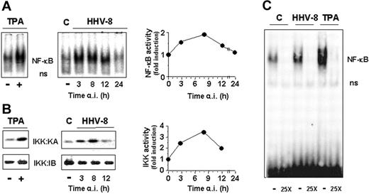 Figure 2. HHV-8 acute infection induces IKK and NF-κB activities in HUVECs. HUVEC monolayers were mock infected (control) or infected with HHV-8 or treated with TPA (20 ng/mL). At different times after infection, whole-cell extracts were prepared and analyzed for NF-κB activation by EMSA (A) or for IKK activity and recovery by kinase assay (KA) and immunoblotting (IB), respectively (B). Sections of fluorograms from native gels are shown (right panels). Position of NF-κB-DNA (NF-κB) and nonspecific protein-DNA (ns) complexes are indicated. The levels of NF-κB and IKK activity in HHV-8–infected cells were quantified by MDP analysis and expressed as fold induction of the levels detected in uninfected control cells (left panels). Results of a representative experiment of 3 with similar results are shown. (C) HUVEC monolayers were mock infected (C), infected with HHV-8 (HHV-8), or treated with 20 ng/mL TPA. At 4 hours after infection whole-cell extracts were subjected to competition EMSA by using the oligonucleotide containing the consensus NF-κB element as a probe in the absence (−) or the presence (25X) of 25-fold excess unlabeled consensus oligonucleotide.