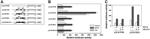 Figure 5. Analysis of HHV-8–induced MCP-1 transcriptional activation. (A) Schematic representation of human MCP-1 reporter constructs.35 The proximal promoter region and distal enhancer region are indicated by open and closed boxes, respectively. The position of NF-κB sites (A1 and A2) in the enhancer region is indicated by open diamonds (⋄). Mutated NF-κB sites are indicated by filled diamonds (♦). (B) HUVECs were cotransfected with the pRL-SV40 vector together with one of the following plasmids: pGLM-PRM, pGLM-ENH, pGLM-MA1, pGLM-MA2, and pGLM-MA1A2, described in panel A. After 12 hours transfected cells were mock infected (control), infected with HHV-8, or treated with TPA (20 ng/mL). Dual luciferase activity was determined 30 hours after infection. The data, expressed as relative luciferase activity, represent the mean ± SD of quadruplicate samples from 2 independent experiments. (C) HUVEC monolayers were triple-transfected with the pRL-SV40 vector and the pGLM-PRM or pGLM-ENH reporter constructs together with “empty” (−) or IκBα-AA (+) vectors. After 12 hours, transfected cells were mock infected (− HHV-8) or infected with HHV-8 (+ HHV-8). Luciferase activities were determined 30 hours after infection as described in panel B. The data, expressed as relative luciferase activity, represent the mean ± SD of quadruplicate samples from 2 independent experiments.
