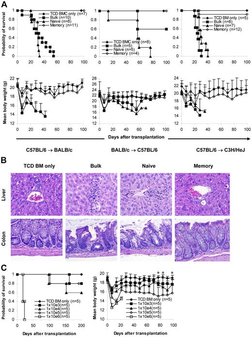 Figure 2. Memory T cells do not cause GVHD. Sorted T-cell subsets were transplanted into lethally irradiated recipients along with T-cell–depleted BM cells. Mice were monitored for the development of GVHD. (A) Survival and weight curves. Body weight data are presented as mean + SD. For survival, P < .05 (memory versus bulk or naive). For body weight, P was not significant (memory versus TCD BM only in all time points after day 7). No signs of GVHD were observed in the single memory T-cell recipient (C57BL/6→C3H/HeJ) that died during observation. Data were pooled from several independent similar experiments (3 for C57BL/6→BALB/c, 1 for BALB/c→C57BL/6, 2 for C57BL/6→C3H/HeJ). (B) Histological analysis (hematoxylin and eosin stain, × 100). Biopsy specimens were obtained from BALB/c recipients of C57BL/6 T cells on day 32 for bulk and naive T-cell groups and day 120 for TCD BM only and memory T-cell groups. (C) Dose-dependent T-cell response in GVHD. Graded numbers of purified C57BL/6 T cells were transplanted into lethally irradiated BALB/c recipients along with T-cell–depleted BM. Mice were monitored for the development of GVHD. For survival, P < .05 (1 × 106 versus other groups). For body weight, P < .05 (TCD BM only versus 1 × 104, 1 × 105, and 1 × 106 at all time points later than day 14 except 1 × 104 on day 70). *P < .05 (1 × 103 versus TCD BM only on days 77, 84, and 98). TCD BM indicates T-cell–depleted BM.