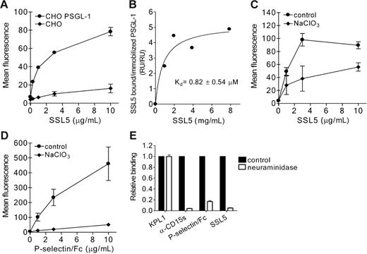 Figure 4. Direct binding of SSL5 to PSGL-1. (A) PSGL-1–transfected (•) and control (♦) CHO cells were incubated with 0.3 to 10 μg/mL HIS-SSL5 for 30 minutes on ice. Bound HIS-SSL5 was detected with FITC-conjugated anti-Xpress. The data represent mean fluorescence of detected HIS-SSL5 and are mean values ± SEMs of 3 independent experiments. (B) Biotinylated F(ab′)2 goat anti–human Fcγ antibodies were immobilized (2.5 kRU) onto 2 adjacent channels of a streptavidin-coated sensor chip. Purified recombinant rPSGL/Ig (0.3 mg/mL) was then applied to the second of these channels to reach a density of 0.25 kRU, whereas channel 1 was used as a reference. The response of SSL5 at equilibrium was determined and plotted against the concentration applied. (C-D) CHO–PSGL-1 cells were cultured in the absence or presence of 50 mM sodium chlorate (NaClO3). Subsequently, cells were tested for binding of HIS-SSL5 (C) and P-selectin/Fc (D). The data represent mean fluorescence of detected HIS-SSL5 and P-selectin/Fc and are mean values ± SEMs of 3 independent experiments. (E) CHO–PSGL-1 cells were treated without (▪) or with (□) 0.2 U/mL neuraminidase for 45 minutes at 37°C. After washing, binding of HIS-SSL5, P-selectin/Fc, KPL1, and anti-CD15s was examined. The data represent relative fluorescence of detected protein and are mean values ± SEMs of 3 independent experiments.