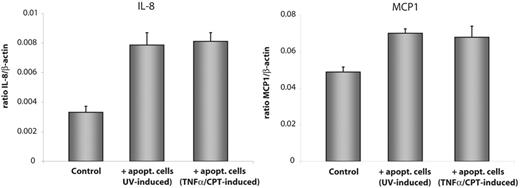 Figure 3. Enhanced expression of IL-8 and MCP1 is independent of the method of apoptosis induction. Apoptosis was induced in HMEC-1 cells either by UV irradiation or by treatment with a combination of TNF-α (3 nM) and CPT (0.15 μM) for 24 hours. Healthy HMEC-1 cells were exposed to the apoptotic cells for 3 hours and mRNA level of IL-8 and MCP1 were determined by real-time qPCR. Data are given as mean ± SD of 5 independent experiments.