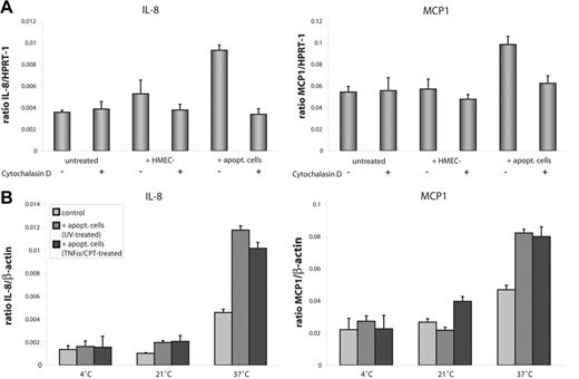 Figure 6. Engulfment of apoptotic cells by HMEC-1 cells is necessary for enhanced synthesis of IL-8 and MCP1 mRNA. (A) HMEC-1 cells were exposed to untreated or apoptotic cells for 3 hours and IL-8 and MCP1 expression was measured by real-time qPCR. Pretreatment with cytochalasin D (4 μM) reversed the enhanced synthesis of IL-8 and MCP1 to the level of the controls. (B) At temperatures where the internalization of bound cells is prevented, apoptotic cells failed to induce enhanced expression of IL-8 and MCP1 transcript. Data are given as mean ± SD of 3 independent experiments.