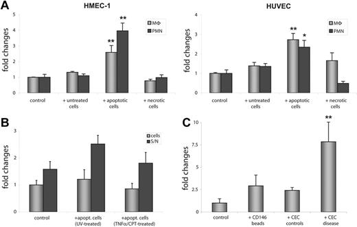 Figure 7. Apoptotic cells trigger enhanced binding of leukocytes to endothelial cells. (A) Exposure of HMEC-1 cells and HUVECs to apoptotic HMEC-1 cells for 4 hours increased adhesion of PMNs and MΦ, whereas exposure to necrotic cells failed to induce enhanced binding of leukocytes to HMEC-1 cells. HUVECs coincubated with necrotic HMEC-1 cells showed enhanced binding of MΦ but not of PMNs. (B) The supernatant of HMEC-1 cells that were exposed to apoptotic ECs is sufficient to promote increased binding of neutrophils to HMEC-1 cells, whereas the pretreated cells alone do not show enhanced binding of neutrophils. (C) Incubation of HMEC-1 cells with CECs isolated from patients with PR3-ANCA–associated vasculitis leads to a significant increase in adhesion of neutrophils. MΦ indicates primary blood mononuclear cells (monocytes/macrophages); PMN, polymorphonuclear cells (neutrophils). Data represent mean ± SEM of 5 (A,C) or 3 (B) independent experiments. Mann-Whitney U test was performed to compare differences in leukocyte adhesion (*P < .01; *P < .001).