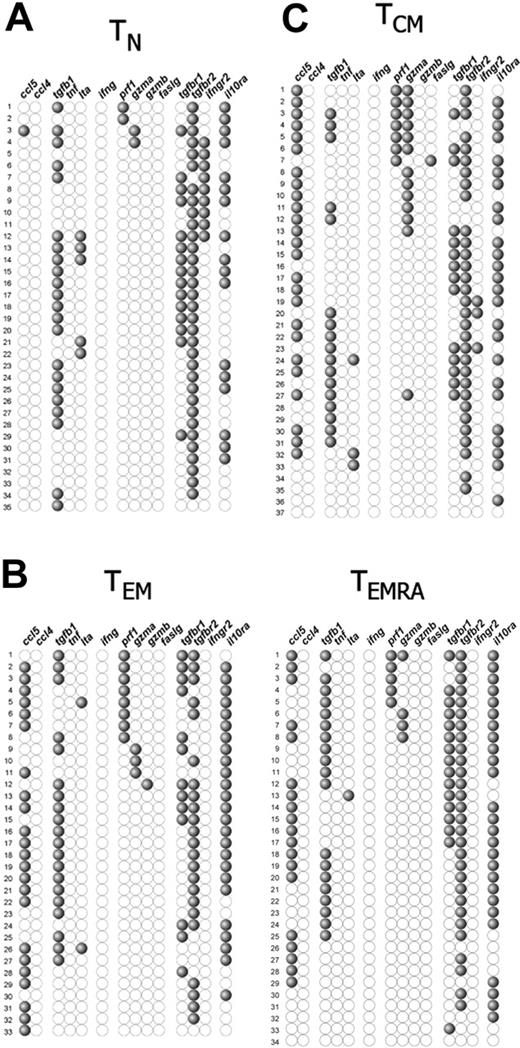 Figure 2. Single-cell gene expression profiles of the less activated CD8+ T-cell subpopulations. αβ-TCR+ CD8+ PBLs were simultaneously stained for CD8, CCR7, CD45RA, CD27, and CD28. CD8high T cells identified as (A) naive, (B) CD45RA− (left) or CD45RA+ (right) CCR7−CD27high, and (C) TCM were single-cell sorted, and the expression of multiple genes was determined simultaneously in each individual cell. The accuracy of cell sorting was evaluated by the expression of CD3ϵ mRNA, with only cells positive for this molecule being depicted. Each horizontal row depicts the same individual cell, which is numbered. Each vertical row represents a different gene. Results show the profiles from a single representative donor of the 3 we studied. The genes, ccl5, ccl4, tgfb1, tnf, lta, ifng, prf1, gzma, gzmb, faslg, tgfbr1, tgfbr2, ifngr2, and il10ra, code, respectively, for RANTES, MIP-1β, TGF-β1, TNF-α, TNF-β, IFN-γ, perforin, GZMA, GZMB, Fas-L, TGF-βR1, TGF-βR2, IFN-γR2, and IL-10Rα.