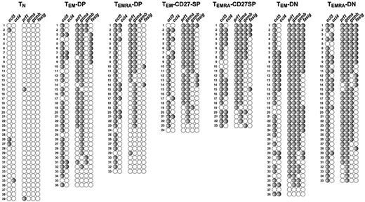 Figure 5. The profile of gene expression of each CD8 subpopulation is the same in different donors. Results represent the profiles of gene expression of various CD8 subsets from a different donor than the one shown in Figures 2–3. Cell sets were isolated, and individual cells and genes were disposed as described in Figures 2–3. To fit into a single figure, we show only major represented populations and cytotoxic and chemokine mRNAs, because these genes by themselves clearly define the properties of each CD8 subtype.