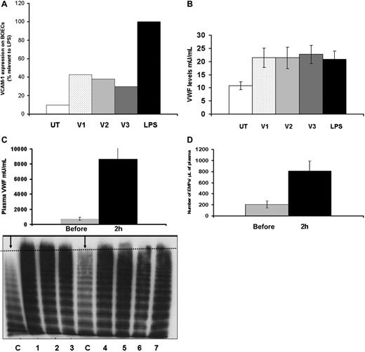 Figure 4. Adenovirus activates endothelial cells in vitro and induces release of ultra-large molecular weight VWF as well as EMPs following intravenous administration in mice. (A) BOECs were treated with 3 doses of adenovirus (V1-3) for 6 hours. Cells were then harvested, washed, and stained with fluorescent-labeled anti–human VCAM-1 and assessed by flow cytometry. BOECs treated with LPS were used as a positive control and LPS data were set at 100% (average of 3 experiments). (B) BOEC culture media was collected at 24 hours following adenovirus treatment for VWF quantitation. There was a non–dose-dependent increase in VWF levels when compared to the untreated cells. (C) Plasma samples from Balb/C mice were collected 1 to 2 hours following intravenous administration of adenovirus. VWF levels increased significantly (11.9-fold above preinjection level; upper panel) and ultra-large molecular weight VWF multimers appear on multimer analysis of murine Balb/c plasma (lower panel). The figure shows an increased multimer density (increased VWF) as well as ultra-large multimers in the 7 adenovirus-treated mice (lanes1-7) compared to control mouse plasma (C lanes, represented by the two arrows). The dotted line shows highest molecular weight multimer in normal mice. (D) The number of EMPs in plasma obtained from Balb/c mice after intravenous virus administration based on CD62E expression increases significantly following administration (n = 3, P = .03). Values shown are the mean ± SEM.
