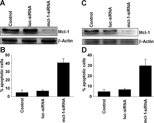 Figure 4. Effects of MCL-1–specific siRNA on neoplastic mast cells. Effects of MCL-1-siRNA on MCL-1 protein expression (A, C) and cell viability (B, D) in HMC-1.1 cells (A-B) and HMC-1.2 cells (C-D). Cells were left untransfected (Control) or were transfected with an MCL-1–specific siRNA (MCL-1-siRNA; 200 nM) or a luciferase-specific (control) siRNA (luc-siRNA; 200 nM). MCL-1 protein expression (A, C) was determined after 12 hours by Western blotting using a polyclonal anti–MCL-1 antibody. Equal loading was confirmed by probing for β-actin. Cell viability was analyzed by recording the percentage of apoptotic cells. Results represent the mean ± SD from 3 independent experiments in each set of experiments (C-D).