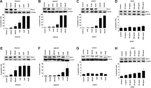 Figure 5. Effects of PKC412, imatinib, AMN107, and 2CdA on MCL-1 protein expression and cell viability in neoplastic mast cells. Effects of PKC412 (A, E), AMN107 (B, F), imatinib (STI571) (C, G), or 2CdA (D, H) on MCL-1 protein expression (upper panel) and on cell viability (lower panel) in HMC-1.1 cells lacking KIT D816V (A-D) and in HMC-1.2 cells exhibiting KIT D816V (E-H). MCL-1 protein expression was determined by Western blotting using a polyclonal anti–MCL-1 antibody. Equal loading was confirmed by probing for β-actin. Cell viability was analyzed by recording the percentage of apoptotic cells. Results documenting drug effects on cell viability represent the mean ± SD from 3 independent experiments.