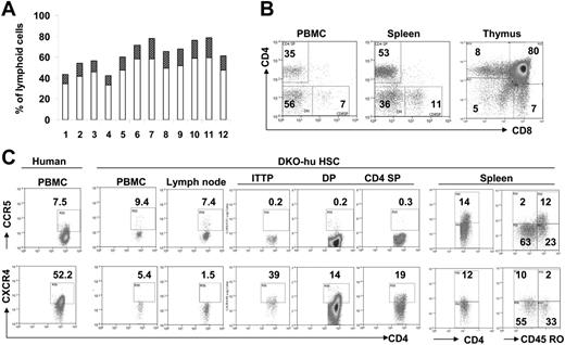 Figure 1. Human T cells express both CCR5 and CXCR4 in DKO-hu HSC mice. Human CD34+ cells were injected intrahepatically in newborn DKO mice. (A) A representative cohort of 12 DKO-hu HSC mice reconstituted with FL CD34+ cells is analyzed by FACS. Individual open bars represent percentage of human CD45+ cells in total peripheral blood lymphoid cells (14 weeks after transplantation). The dark bars indicate the percentage of human CD3+CD4+ cells. (B) Long-term T-cell reconstitution in DKO-hu HSC mice. At 33 weeks after transplantation, the CD4+/CD8+ pattern on human CD45+ cells in the PBMCs, spleen, and thymus are analyzed. (C) Expression of HIV-1 coreceptors on human CD4+ T cells. Representative FACS analysis of CCR5 (top) or CXCR4 (bottom) on human CD45+CD3+CD4+ cells in PBMCs and lymphoid organs of DKO-hu HSC mice. ITTP indicates intrathymic T progenitor (CD4+CD8−CD3+); DP, double positive (CD4+CD8+ thymocytes); CD4SP, CD4+ single positive (CD4+CD8− thymocytes).