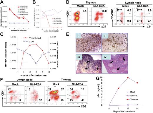 Figure 2. HIV-1 replication and pathogenesis in DKO-hu HSC mice. Intravenous infection of HIV-R3A at high (A-B) and low (C-G) doses was performed in DKO-hu HSC mice. (A) NL4-R3A stock (5 ng p24 or 20 000 IU/mouse) was used to infect DKO-hu HSC mice (HIV DKO-HSC, solid diamond and square) and DKO mice (HIV DKO, crosses). Two DKO-hu HSC mice were also mock infected as controls (mock DKO-HSC, open diamond and square). Plasma samples were collected at 1, 2, 3, 4, and 12 weeks after infection and HIV genome copy numbers were determined. The sensitivity of detection is 500 copies/mL due to necessary sample dilution. (B) Human CD4+ T-cell number in the blood of DKO-hu HSC mice was determined at 15 weeks after HSPC transfer (1 week prior to HIV infection, −1 week after infection), and determined again at 1, 2, 3, 4, and 12 weeks after infection. (C) DKO-hu HSC mice were infected with low-dose NL4-R3A (1 ng p24 or 4000 IU/mouse). Plasma HIV genome (triangle, left Y axis) and CD4 cell counts (diamond, right Y axis) in mouse no. 3 (Table 1) are shown. (D) FACS analysis of CD45+ thymocytes by costaining p24 with CD4 or of CD45+CD4+ lymph node cells with CD45RO from mice infected with NL4-R3A (1 week after infection). (E) Immunohistochemistry was performed with anti-p24 antibody on paraffin sections of lymphoid tissues. Lymph node (i), thymus (ii), spleen (iii), and the hematoxylin and eosin (H&E) staining of adjacent section of the spleen (iv). Arrows in subpanels iii and iv indicate the CD45+ follicles in the spleen. Slides were observed under a Nikon Microphot FXA microscope equipped with a PlanApo 4×/0.20 numerical aperture (NA) i-ii) or a PlanApo 2×/0.08 NA (iii-iv) objective lens (Nikon, Garden City, NY). Images were captured using a QImaging Micropublisher 3.3 CCD digital camera and QCapture software version 3.0 (QImaging, Surrey, BC, Canada). (F) Depletion of CD4+ T cells in lymphoid organs. At 1 week after infection, human CD4 and CD8 in the thymus and lymph nodes of mock- or NL4-R3A–infected mice were analyzed by FACS. The percentage of each population is indicated. (G) Thymocytes (4500 CD45+ cells) or splenocytes (17 000 CD45+ cells) from mouse no. 4 (Table 1) harvested at 19 weeks after infection were cocultured with PHA-activated PBMCs to detect infectious HIV-1 (p24/mL). Similar results were observed with cells from mouse no. 3 at 14 weeks after infection.