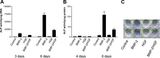 Figure 1. HGF inhibits BMP-2–induced ALP activity in vitro. ALP activity of C2C12 cells (A) and hMSCs (B-C). The hMSCs in (C) had been treated with cytokines for six days. The concentrations of cytokines were 300 ng/mL BMP-2 and 100 ng/mL HGF. Data are presented as means + SEM.