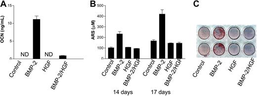 Figure 2. HGF inhibits BMP-2–induced terminal differentiation of osteoblasts. Osteocalcin concentration (A) in conditioned media from C2C12 cells cultured for 6 days. Mineralization of MSCs treated for the indicated time periods was quantified (B) or visualized (C) by Alizarin Red-S (ARS) staining. The concentrations of cytokines were 300 ng/mL BMP-2 and 100 ng/mL HGF. ND indicates not detected.