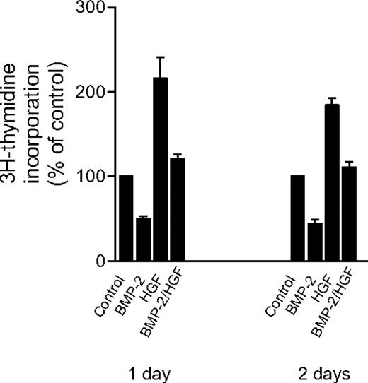 Figure 4. HGF promotes proliferation of MSCs. MSCs were treated for 1 or 2 days as indicated before 3H-thymidine was added to the media. The amount of incorporated 3H-thymdine was measured after another 18 hours of culturing. Bars represent mean + SEM of triplicate wells. Control levels of 3H-thymidine incorporation per well were 3866 counts/min on day 1 and 2969 counts/min on day 2. The concentrations of cytokines were 300 ng/mL BMP-2 and 100 ng/mL HGF.