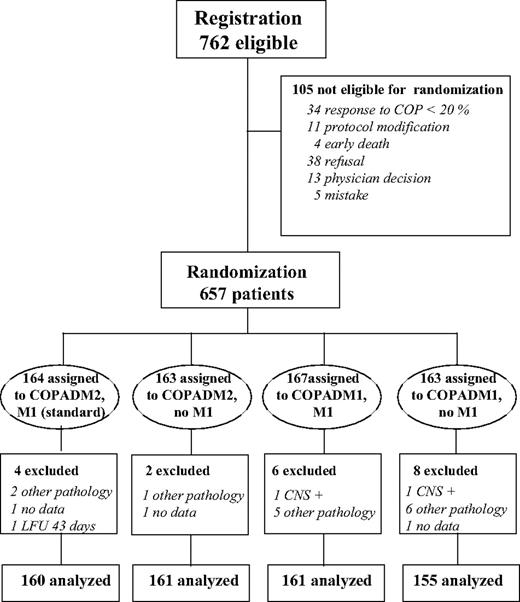 Figure 2. Flow chart of the trial.