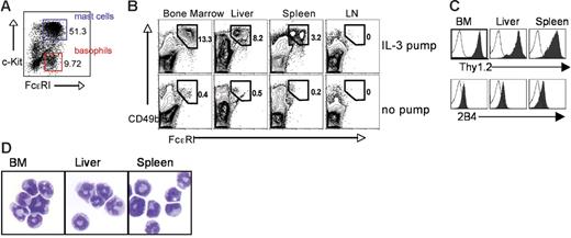 Figure 1. In vivo generation of basophils from bone marrow progenitors by IL-3 treatment. (A) In vitro generation of bone marrow–derived basophils. Bone marrow cells were cultured with 10 ng/mL of IL-3 for 7 days. At the end of culture, cells were harvested and stained for FcϵRI and c-kit. FcϵRI/c-kit double positive cells represent mast cells, while FcϵRI single positive cells represent basophils. Relative proportions are indicated. (B) In vivo generation of basophils by IL-3. C57BL/6 wild-type mice were implanted with a miniosmotic pump containing 5 μg IL-3. Seven days after pump implantation, cells from bone marrow, liver, spleen, and lymph nodes were harvested and stained for CD49b and FcϵRI. Proportions of CD49b+ FcϵRI+ cells (basophils) are indicated. No basophils were found after PBS pump implantation (data not shown). (C) Phenotypic analysis of IL-3–generated basophils. Basophils obtained by IL-3 pump implantation were analyzed for the expression of Thy1.2 and 2B4 (filled histogram plots), surface molecules known to be expressed on basophils. Open histogram plots represent isotype control antibody staining. (D) Cytospin samples of basophils isolated from indicated tissues by cell sorting were stained for Wright-Giemsa staining. Images were acquired using an Olympus BX51 microscope equipped with a 40×/0.75 numerical aperture objective lens (Olympus, Center Valley, PA). Images were taken using an Olympus DP70 digital camera with DP controller software. The images were subsequently processed with Adobe Photoshop 6.0 software (Adobe Systems, San Jose, CA).