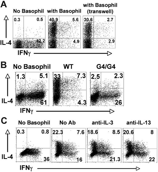 Figure 3. IL-4 produced by basophils is primarily responsible for basophil-induced Th2 differentiation. (A) Coculture experiments were performed in a Transwell experiment. Naive 5C.C7 CD4 T cells were stimulated with 2 × 104 basophils together or separated from basophils by Transwell. Production of IL-4 and IFNγ was determined. (B) Purified OT-II CD4 T cells specific for OVA peptide in the context of I-Ab were cultured with OVA peptide 323 to 339–loaded splenic CD11c+ dendritic cells in the absence or presence of basophils isolated from wild-type mice or IL-4–deficient G4/G4 mice for 72 hours. Cytokine production was measured. (C) During primary stimulation, 10 μg/mL anti–IL-3 or anti–IL-13 antibodies were added. All the experiments were repeated more than 3 times with similar results.
