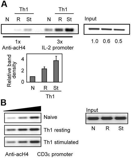 Figure 1. T-cell stimulation induces hyperacetylation of the il2 promoter. ChIP assays were performed using antiacetylated H4 antibodies in naive (N) and in Th1 cells resting (R) or stimulated (St) for 6 hours with anti-CD3 and anti-CD28. PCR amplifications with primers for the (A) il2 or the (B) CD3ϵ promoters were done with different amounts of sample to confirm linearity of the amplification. One experiment of 2 with similar results is shown. Numbers below input bands indicate relative (to naive cells) amount quantified using qPCR. Graph shows relative (to naive cells) intensity of amplified complexes from all experiments (mean + SEM).