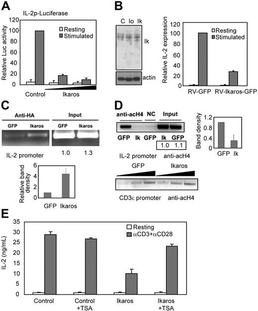 Figure 5. Binding of Ikaros to the il2 promoter induces H4 deacetylation and inhibits il2 expression. (A) Jurkat cells were transfected with an il2–luciferase reporter plasmid and increasing amounts of an Ikaros expression plasmid. Twenty-four hours after transfection, cells were stimulated with PMA and ionomycin, and luciferase activity was determined. (B) Western blot using an anti-Ikaros antibody was performed with samples from RV-GFP–infected control resting (C) and ionomycin-treated (Io) cells and cells infected with RV-Ikaros-IRES-GFP (Ik). Infected cells were stimulated with anti-CD3 and anti-CD28 for 24 hours and IL-2 expression determined by ELISA. Bars show mean + SEM of 3 independent experiments. (C) Th1 cells transduced with virus expressing HA-Ikaros (Ik) and GFP or control GFP-virus were sorted and ChIPs performed using an anti-HA antibody. PCR products amplified with primers for the il2 promoter are shown for immunoprecipitated complexes and inputs. Gel shows one of 3 experiment with similar results. Numbers below input bands represent relative amount (to the value in RV-GFP–infected cells) quantified using qPCR. Graph shows relative band intensity (to the intensity in GFP-infected control cells) of immunoprecipitated complexes from all experiments (mean + SEM). (D) ChIP assays were performed using an antiacetylated H4 antibody on samples from transduced Th1 cells expressing GFP or HA-Ikaros and GFP (Ik). PCR products amplified with primers for the il2 promoter are shown for immunoprecipitated complexes and inputs. One experiment of 3 with similar results is shown. Numbers below input bands represent relative amount (to the value in RV-GFP–infected cells) quantified using qPCR. Graph shows relative band intensity of amplified immunoprecipitated complexes from all experiments (mean + SEM). Samples were also amplified using primers for the CD3ϵ promoter. (E) Infected Th1 cells with retroviruses expressing either GFP (control) or Ikaros and GFP (Ikaros) were treated with TSA from day 2 after infection. Four days later, cells were stimulated with anti-CD3 and anti-CD28 for 24 hours and IL-2 expression was determined by ELISA. Bars show mean + SEM of 3 different samples.