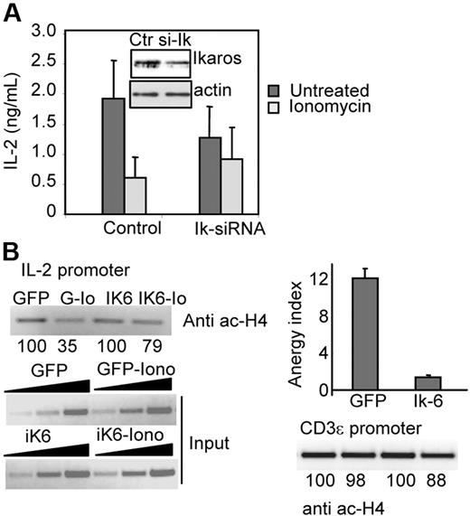 Figure 6. Inhibition of Ikaros activity results in defective anergy induction and il2 promoter deacetylation in Th1 cells. (A) Th1 cells were transfected with the pSUPER-IK-19i vector (Ik-siRNA) or empty pSUPER (Control) and pGFP. After 36 hours, GFP+ sorted cells were treated with or without ionomycin (Iono) and stimulated with anti-CD3 and anti-CD28. IL-2 production was determined by EILSA. Bars show mean + SEM of 3 different experiments. Following ionomycin treatment, Ikaros levels from both cell populations were measure by Western blot. Blots were also probed with antiactin antibody to control loading. (B) ChIP assays were performed on Th1 cells transduced with virus expressing GFP or Ikaros-6 and GFP (Ik6) and sorted for GFP expression. Cells were rested or treated with ionomycin (Io). Samples precipitated with an antiacetylated H4 antibody were amplified with primers for the il2 promoter. Products are shown for precipitated complexes and inputs. One experiment of 2 is shown. Numbers below bands represent relative intensity (to RV-GFP–infected cells). Precipitated complexes were also amplified using primers for the CD3ϵ promoter. Anergy induction in sorted cells was also analyzed by ELISA following stimulation with anti-CD3 and anti-CD28. Bars show mean + SEM of the anergy index value (ratio of IL-2 produced by control cells and anergized cells) of 2 different experiments performed in triplicate.