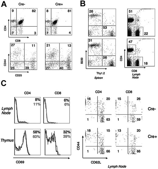 Figure 2. Normal development of lymphocytes in r1ΔT/r2n mice. (A) Flow cytometry of thymi stained with antibodies to CD4 and CD8. CD4−/CD8− (DN) gated thymocytes were also stained with CD44 and CD25 (lower panel). (B) B220 and Thy1.2 expression on splenocytes and CD4/CD8 staining on lymph node cells. Top panels, Cre−; bottom panels, Cre+. (C) Histograms of CD69 expression in CD4+ and CD8+ single-positive thymocytes and lymph node cells as well as expression of memory markers CD44 and CD62L in CD4− or CD8− gated lymph node cells. Numbers represent percentages of cells in the quadrants or regions indicated. Data are representative of 3 sets of littermates.