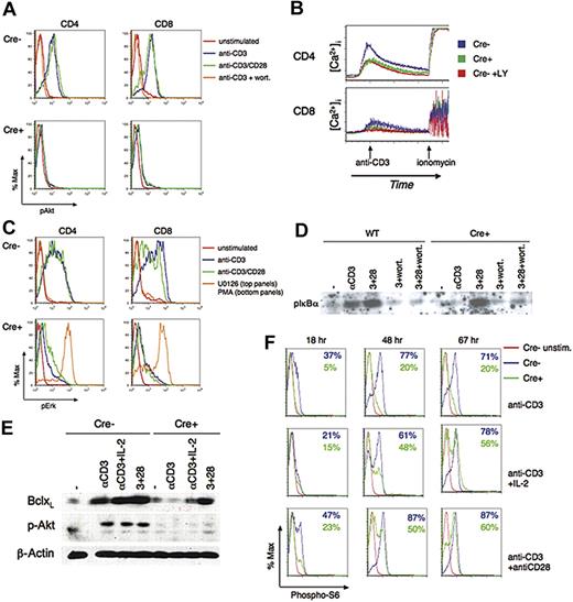 Figure 3. Biochemical defects in r1ΔT/r2n T cells. (A-D) Activation of biochemical pathways at early time points downstream of the TCR, IL-2R, and CD28 in r1ΔT/r2n (Cre+) mice compared with either r1f/r2n (Cre−) or WT mice. Lymph node cells were stimulated for 5 minutes, and phosphorylation of Akt (A), Erk (C), and IκB (D) was measured. (B) Kinetics of calcium mobilization was assessed using cells loaded with Fluo-3. Where indicated, CD4 and CD8 subsets are distinguished by flow cytometry. The general PI3K inhibitors wortmannin (wort) or LY294002 (LY) were used where indicated. In panel C, the MEK inhibitor U0126 was used as a specificity control in Cre− cells, and the phorbol ester PMA was used as a positive control to show that the Erk pathway can be activated in Cre+ cells. (E-F) Activation of biochemical pathways at later time points downstream of the TCR, IL-2R, and CD28. (E) Immunoblot analysis of Bcl-XL expression and Akt phosphorylation at 18 hours after stimulation of purified T cells (CD4 and CD8). Data are representative of at least 3 experiments, except in the case of 18-hour phospho-Akt analysis (n = 2). (F) Overlays of intracellular phosphorylation of S6 at various time points are shown. Numbers indicate the percentage of cells positive for phospho-S6.
