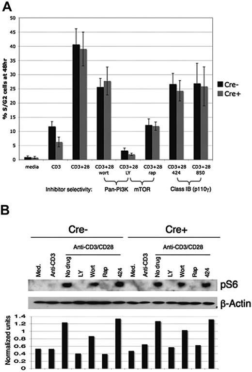 Figure 7. Proliferation and mTOR pathway activation are partially resistant to PI3K inhibition in r1ΔT/r2n T cells. (A) Purified T cells were treated for 15 minutes with the indicated inhibitors and then stimulated for 48 hours with platebound anti-CD3 alone or anti-CD3 plus CD28. Proliferation was measured by cell-cycle analysis, with the percentage of cells in S and G2 phases combined in the analysis. The mean ± SD of 4 experiments is shown. Inhibitor concentrations were 50 nM wortmannin; 10 μM LY294002, 424 (AS252424), and 850 (AS604850) (GE Healthcare Life Sciences, Piscataway, NJ); and 10 ng/mL rapamycin. (B) Immunoblot analysis for phosphorylation of S6 in purified T cells after 18 hours with indicated stimulation conditions. “Normalized units” refers to the relative band intensities of phospho-S6 compared with β-actin, calculated using ImageQuant. To compensate for its short half-life, wortmannin was added every 6 to 12 hours in both the proliferation and phospho-S6 experiments.