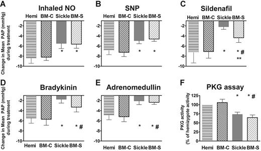 Figure 2. Sickle mice and mice receiving transplants with marrow from sickle mice (BM-S) exhibit blunted pulmonary vasodilatory responses to NO and endothelium-dependent vasodilators, showing mean ± SEM for 5 or 6 mice per group. Responses to each vasodilator challenge are shown by the magnitude of drop in mean pulmonary artery pressure (PAP). (A) Sickle mice demonstrated less decrease in pulmonary arterial pressure in response to inhaled NO (data shown for 4 ppm). A similarly blunted response was observed at a lower NO dose (0.4 ppm, P < .05, data not shown). There was no systemic response to inhaled NO (not shown), consistent with the very brief half-life of NO in blood. (B) The NO donor sodium nitroprusside (10 μg/kg intravenous bolus) was similar to inhaled NO in the blunted pulmonary vasodilator response in sickle mice and BM-S mice compared with controls. Similar blunted responsiveness was observed at lower doses (3 μg/kg intravenous bolus, P < .05, data not shown). (C) The phosphodiesterase-5 inhibitor sildenafil (30 μg/kg/min), which acts through the cGMP pathway like NO, had blunted pulmonary vasodilatory responses in sickle mice. BM-S mice preserved more vasodilatory responsiveness to sildenafil than did sickle mice but were still significantly less responsive than controls (P < .05). (D) Bradykinin (3 μg/kg intravenous bolus) response was also blunted in the sickle mice. Similar results were observed at lower doses (0.3 and 1μg/kg, P < .05, data not shown). (E) Pulmonary vascular response to another endothelium-dependent vasodilator, adrenomedullin (0.3 μg/kg intravenous bolus), was likewise blunted in sickle mice and in BM-S mice. Similar results were observed at lower doses (0.1 μg/kg intravenous bolus, P < .05, data not shown). (F) Lung homogenate assays demonstrated significantly lower activity of cGMP-dependent protein kinase in mice with circulating sickle erythrocytes compared with wild-type and hemizygous controls (4 to 7 mice per group) using a colorimetric assay (CycLex, Nagano, Japan)52,60 according to followed manufacturer's specifications. Statistically significant differences, P < .05 by t test, are indicated as follows: *, versus hemizygous controls, #, versus recipients of marrow from wild-type mice (BM-C); **, sickle versus BM-S mice.