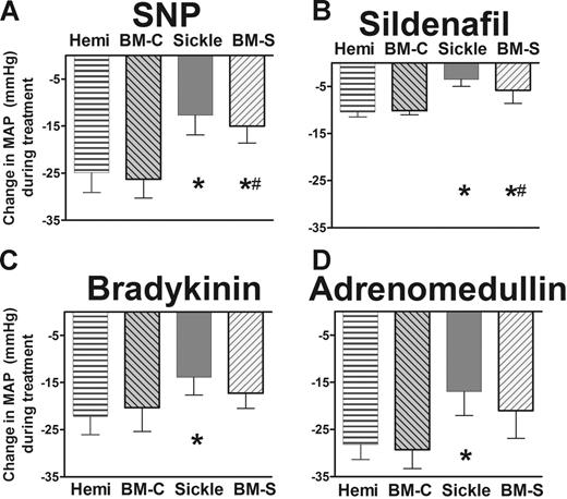 Figure 3. Systemic responsiveness to endothelium-dependent vasodilators was blunted in sickle mice and BM-S mice, showing mean ± SEM for 5 or 6 mice per group. (A) NO donor sodium nitroprusside (10 μg/kg intravenous bolus) had blunted systemic vasodilator response in sickle mice and BM-S mice compared with controls. Similar blunted responsiveness was observed at a lower dose (3 μg/kg intravenous bolus, P < .05, data not shown). (B) Sildenafil (30 μg/kg/min) had significantly blunted systemic vasodilatory responses in sickle mice and in BM-S mice compared with controls. (C) Bradykinin had blunted mean arterial pressure response in the sickle mice at 3 μg/kg intravenous bolus. Similar results were observed at lower doses for BM-S (0.3 and 1 μg/kg, P < .05 and <.05, respectively; data not shown). Mixed response was observed at lower doses for sickle mice (0.3 and 1 μg/kg, P = NS and P < .05, respectively; data not shown). (D) Response to another endothelium-dependent vasodilator, adrenomedullin (1 μg/kg intravenous bolus) was likewise blunted in sickle mice but not in BM-S mice. Neither type of mouse was significantly different from controls at a lower dose of adrenomedullin (0.3 μg/kg, P = NS, data not shown). Statistically significant results noted as follows: *P < .05 versus hemizygotes; #P < .05 compared with mice receiving transplants with wild-type marrow (BM-C).