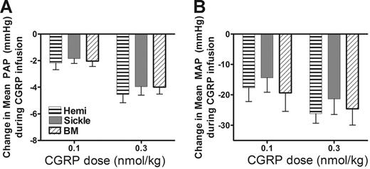 Figure 4. Preserved vasodilator responses to CGRP. CGRP was infused as an intravenous bolus (0.1 or 0.3 nmol/kg) to probe whether endothelium-independent vascular regulation remained normal. The responses of sickle mice and BM-S mice were no different from hemizygous controls. Pulmonary responsiveness (A) was mirrored by systemic responsiveness (B) in 5 to 6 mice per group. Numbers represent mean ± SEM.