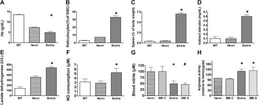 Figure 7. Laboratory indicators of hemolytic anemia. Mean ± SEM are shown for 6 to 10 animals of each genotype. (A) Hemoglobin levels of sickle mice were lower than hemizygotes, but both were below wild-type, consistent with previous reports.23,27 The hemizygous mouse is anemic but does not have erythrocyte sickling. (B) Elevated reticulocyte fraction indicated markedly increased erythropoiesis in sickle mice. (C) Spleen as a fraction of body weight was elevated in sickle mice. The spleen is a normal site of erythropoiesis in adult mice and greatly increases in conditions of increased erythropoiesis. (D) Indirect bilirubin was elevated in sickle mouse plasma. (E) Lactate dehydrogenase in plasma was elevated in sickle mice as a nonspecific indicator of hemolysis. (F) Plasma NO consumption in blood processed under low shear to avoid artifactual hemolysis was measured using the gas-phase chemiluminescent NO analyzer (Sievers, Boulder, CO) as previously described.6 Nitric oxide consumption measurement was elevated in sickle mice (n = 21) compared with hemizygotes (n = 11) or wild-type controls (n = 6) by Kruskal-Wallis test. Absorbance spectrophotometry in the Soret band determined that plasma hemoglobin concentration correlated with NO consumption in mice (r2 = 0.96, n = 49, data not shown). The wide variability in NO consumption in the sickle mice was similar to the variability of plasma NO consumption in humans with sickle cell disease.6 (G) Whole blood nitrite levels were obtained by mixing fresh blood immediately with nitrite preservation solution63 and then assaying by chemiluminescence (Sievers, Boulder, CO) as an indirect measure of NO synthase activity. Whole blood nitrite levels were lower in sickle mice than hemizygous and wild-type controls by the Mann-Whitney test (n = 4 to 7 per group). Nitrite in the BM-S mice (n = 9) was lower than the nitrite in the controls receiving transplants with wild-type marrow (BM-C, n = 4). (H) Lung homogenate assays demonstrated significantly higher arginase activity in sickle mice and in BM-S mice (n = 4 to 7 mice per group). Statistically significant results are indicated as follows: *P < .05 versus hemizygous controls; #P < .05 versus BM-C controls.