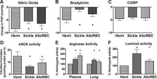 Figure 8. Pulmonary vascular responsiveness and lung homogenate activity of alloimmune hemolytic mice were similar to sickle mice and not to hemizygous sickle controls (mean ± SEM for n = 4 to 6 per group). A mouse model of acute hemolytic transfusion reaction was studied during alloimmune hemolysis by microcardiac catheterization. Because mice studied on the third day of hemolysis did not appear to have greater abnormality in the parameters measured than mice studied on the first or second days of hemolysis, data were pooled together. (A) Vasodilation to inhaled nitric oxide at 4 ppm was significantly blunted in alloimmune hemolytic mice compared with hemizygous controls (P < .05). (B) Vasodilation to bradykinin infusion was significantly blunted at 3 μg/kg in alloimmune hemolytic mice (P < .05). (C) The endothelium-independent agent CGRP (0.3 nmol/kg intravenous bolus) produced the same vasodilation response in alloimmune hemolytic mice and sickle mice as in hemizygous controls (P = NS). (D) eNOS assay of lung homogenate was significantly lower in alloimmune hemolytic mice than in hemizygous controls (P < .05), similar to sickle mice. (E) Arginase assay of plasma and lung homogenate was significantly elevated in both alloimmune hemolytic mice and sickle mice compared with hemizygous controls (P < .05). (F) Luminol assay of lung homogenate indicated significantly elevated reactive oxygen species in alloimmune hemolytic mice and sickle mice compared with hemizygous controls (P < .05). Statistically significant results are indicated by an asterisk (P < .05 versus hemizygous controls).