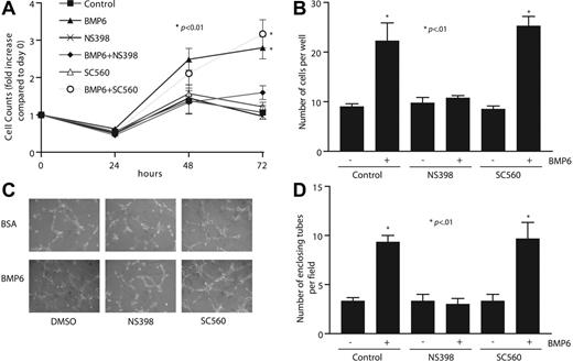 Figure 6. Inhibiting Cox2 activity attenuates BMP6-induced MEC proliferation, migration, and tube formation. (A) Time-dependent response of MEC proliferation to BMP6 (100 ng/mL) treatment. MECs were pretreated with NS398 (10 μM), SC560 (100 nM), or vehicle before treatment with BMP6. Cells were counted at each time point. (B) MEC cell migration on gelatincoated filters to BMP6 was assayed after pretreatment with NS398, SC560, or vehicle. After 6 hours, transmigrated cells were counted. (C) MECs were plated on Matrigel-coated 24-well plates, followed by treatment with BMP6, NS398, SC560, and/or vehicle. Images were taken 6 hours after incubation. Original magnification, × 10. A Nikon 10×/0.25 NA objective lens (Nikon, Melville, NY) was used along with QCapture 2.6.0 software (Quantitative Imaging, Burnaby, BC, Canada). (D) The mean and SD of 3 replicate wells of a representative experiment is shown. The p-value was determined by Student t test.
